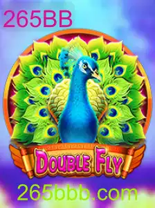 Explorando DoubleFly: Um Mergulho nas Regras e Experiências do Jogo